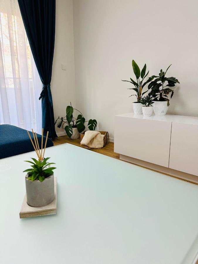 Daylight Apartment スコピエ エクステリア 写真